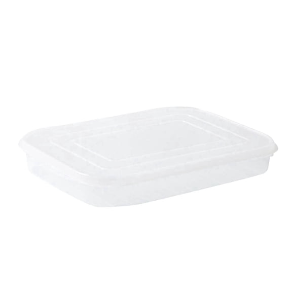 Japanese Soft Lid Non Stick Fish Seafood Storage Container BPA Free Freezer Fridge Organizer 1pc 9.6in Clear