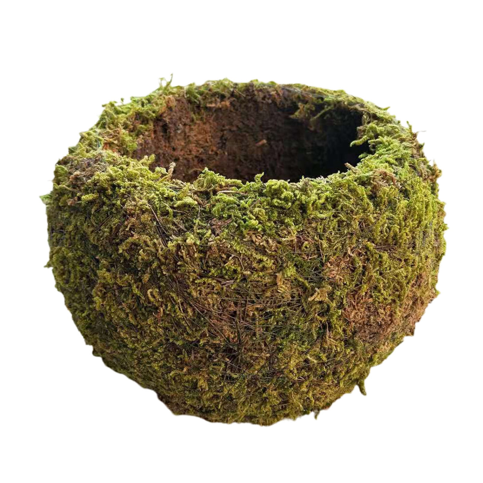 Japanese Style Moss Ball Gardening Potted Plant Moss Flower Pot