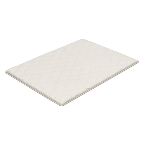 Japanese Style Tatami Mat Queen Size Foldable Mattress with Storage Bag Fastening Clips 9 Layer Structure for Dorm Meditation Yoga 80 x 60 x 2.5 Inches White