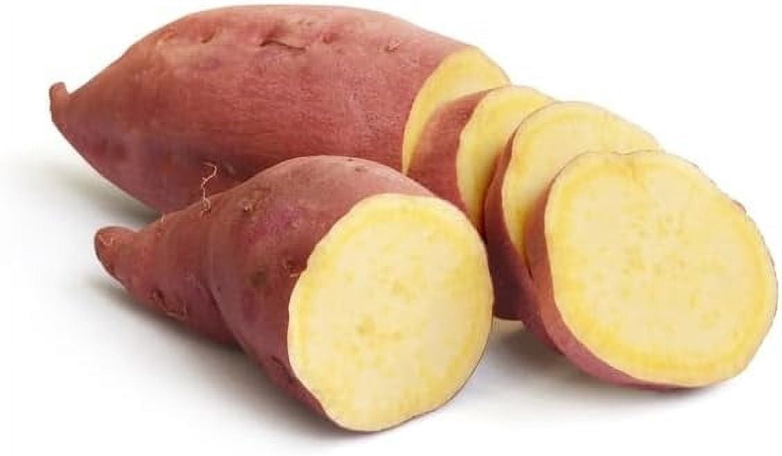 Japanese Sweet Potato Slips for Planting - Yellow Murasaki Sweet Potato Slips - Grow Your Own Sweet Potatos (20 Slips)