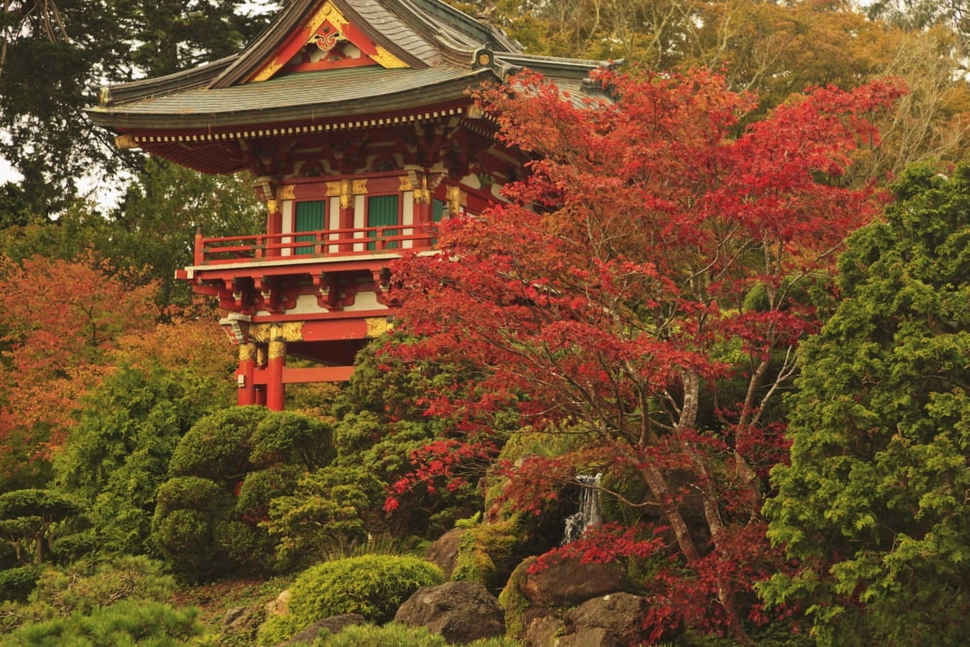 Japanese Tea Garden In Golden Gate Park San Francisco California United States Of America Canvas Art - Stuart Westmorland Design Pics (19 x 12)