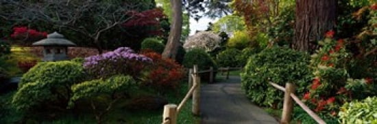 Japanese Tea Garden San Francisco California USA Canvas Art - Panoramic Images (36 x 12)