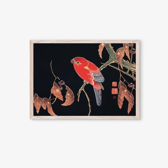 Japanese Wall Art, Bird Art, Ito Jakuchu, Museum , Colorful Bird , F094 Unframed Paper Print