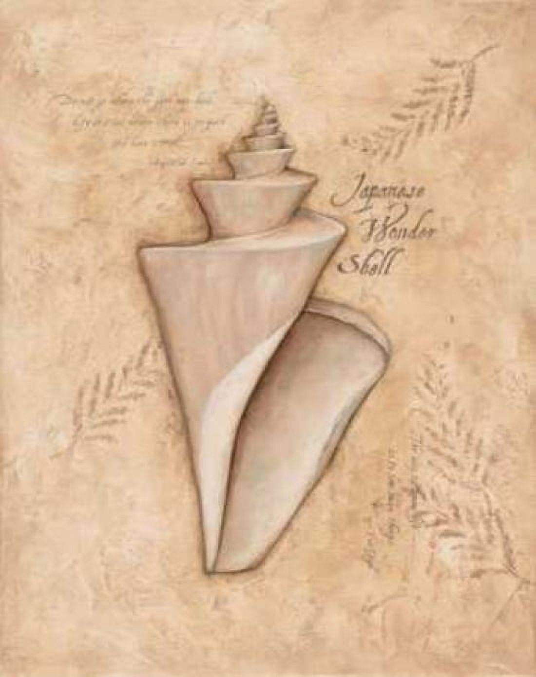 Japanese Wonder Shell Canvas Art - Stephanie Marrott (22 x 28)