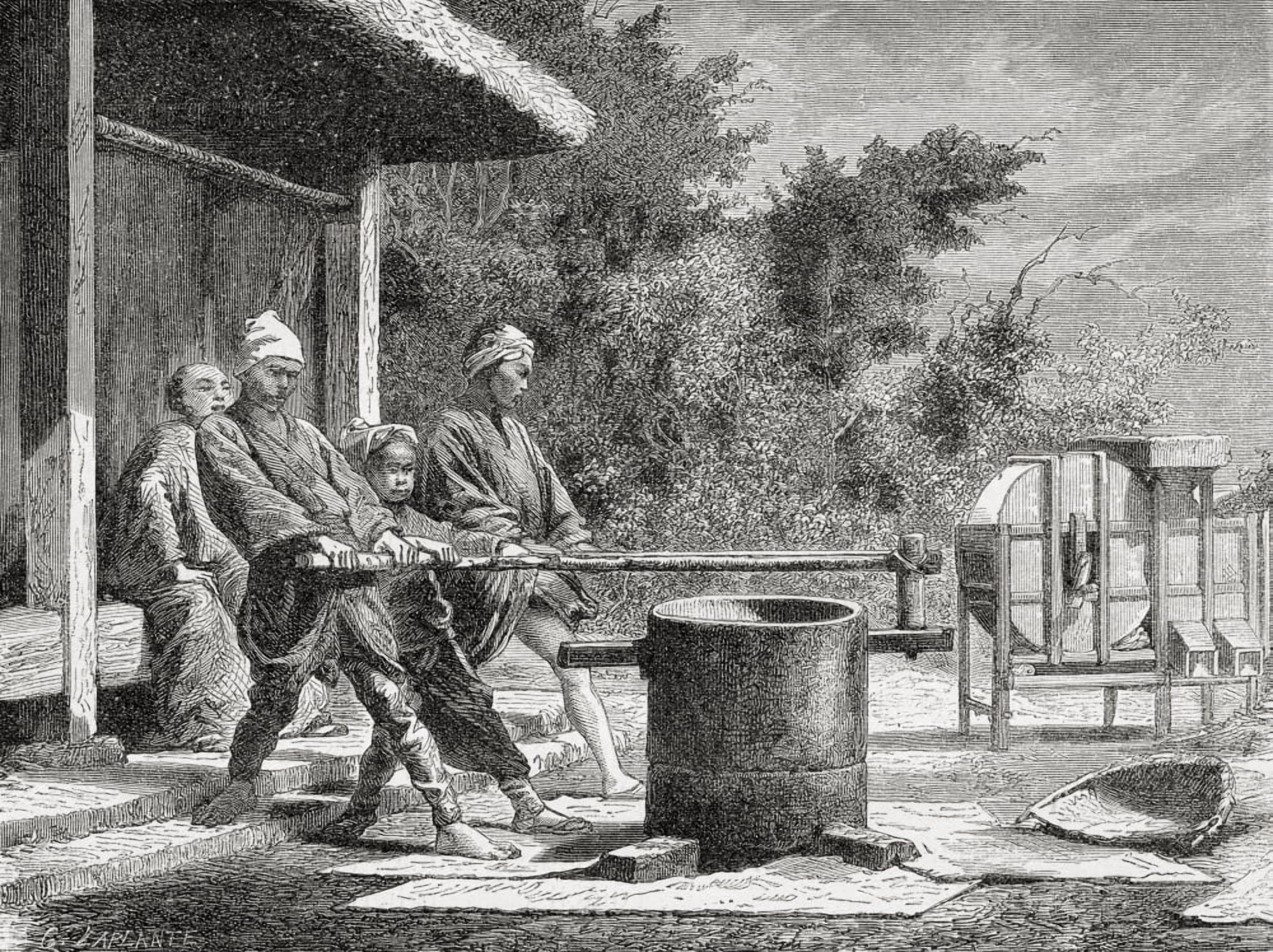Japanese Workers Using A Rice Mill In Japan In The 19Th Century From El Mundo En La Mano Published 1875 Canvas Art - Ken Welsh Design Pics (17 x 12)