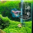 thumbnail image 1 of Japceit Floating Fish Feeder, Parrotfish Food Dispenser with Suspended Ring, Aquarium Feeding Tool for Fish Tank, Floating Fish Food Container for Pet Fish, 1 of 6