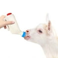 thumbnail image 1 of Japceit Lamb Feeding Bottle, Large Capacity Milk Jug with Thickened Nipple, Veterinary Use Milk Drinker for Small Animals, Livestock Feeding Equipment, 1 of 3