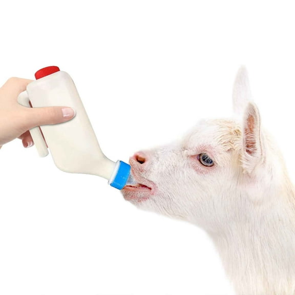 Japceit Lamb Feeding Bottle, Large Capacity Milk Jug with Thickened Nipple, Veterinary Use Milk Drinker for Small Animals, Livestock Feeding Equipment