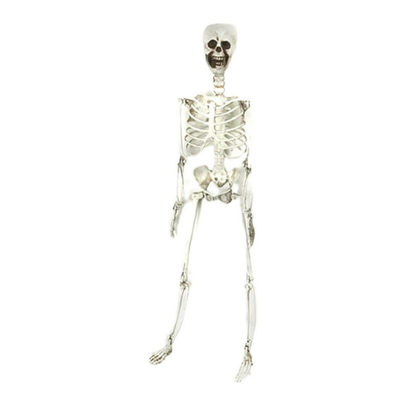 Japceit Movable Joints Full Body Hanging Skeleton Decoration, Realistic Halloween Prop with Pose Adjustment, Plastic Bone Structure Ornament for Haunted House Display, Party, Spooky Scene