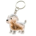 thumbnail image 1 of Japceit Pet Hair Keychain Transparent Holder, Pet Fur Collection Token, Keepsake Accessory for Pet Lovers, Key Rings, Memorial Souvenir Personal Memento, 1 of 3