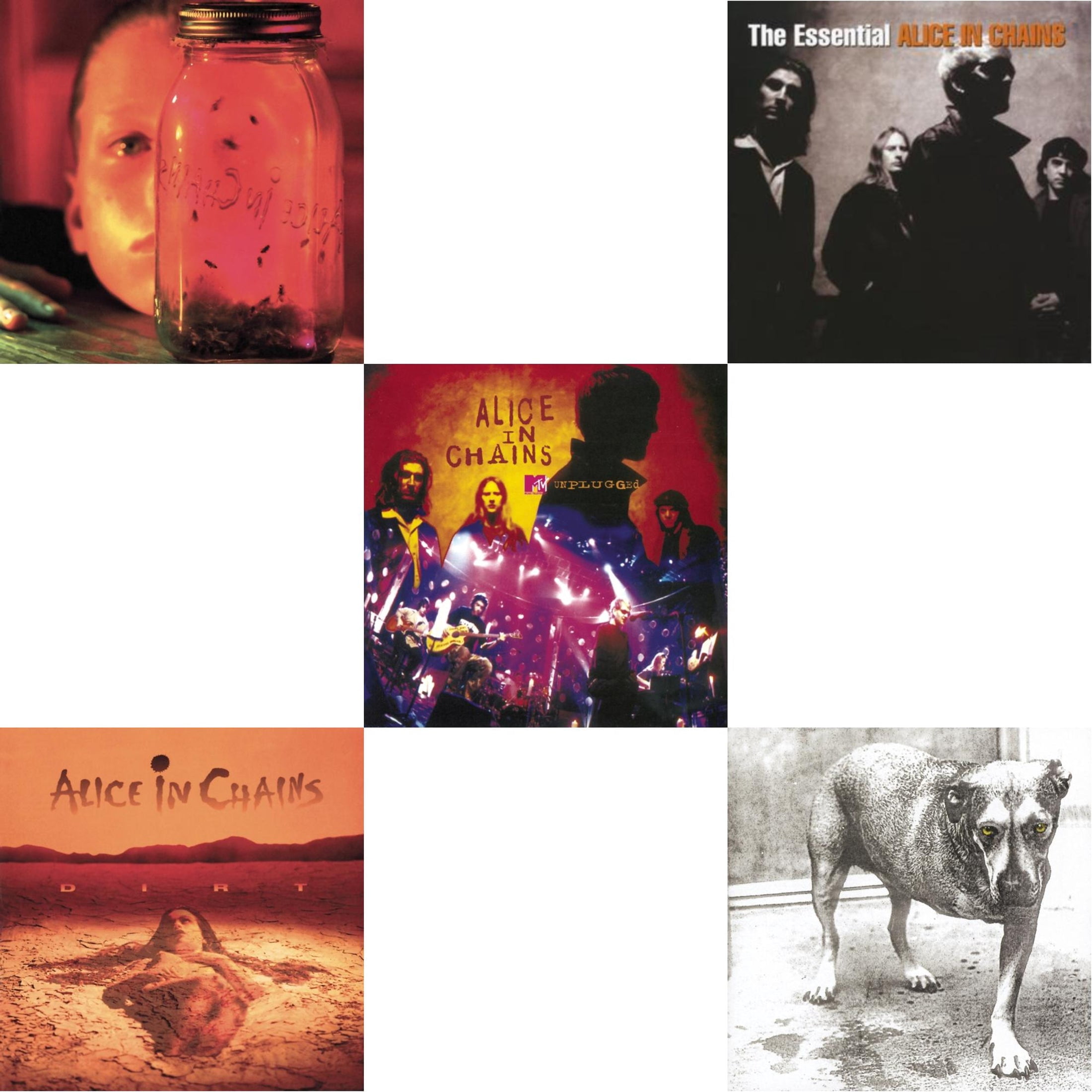 Jar-Of-Flies-Dirt-Unplugged-