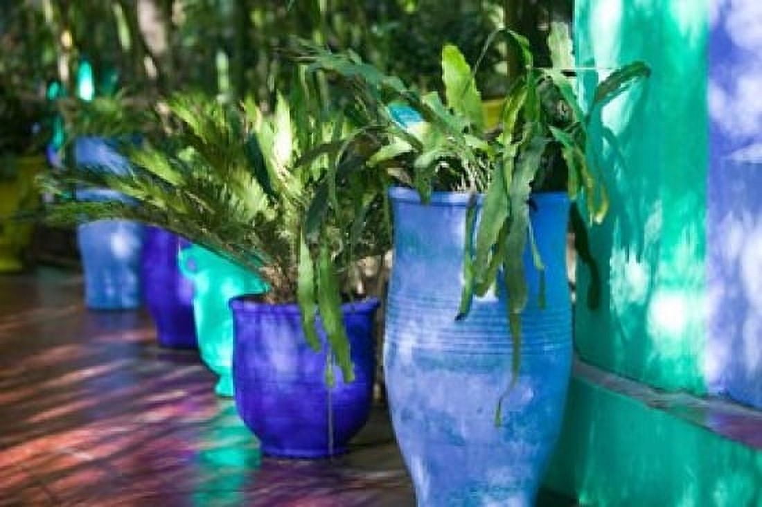 Jardin Majorelle and Museum of Islamic Art Villa Pottery Marrakech Morocco Canvas Art - Walter Bibikow DanitaDelimont (34 x 23)