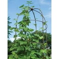 thumbnail image 1 of Gardener's Supply Company Jardin Tower Trellis, 1 of 6