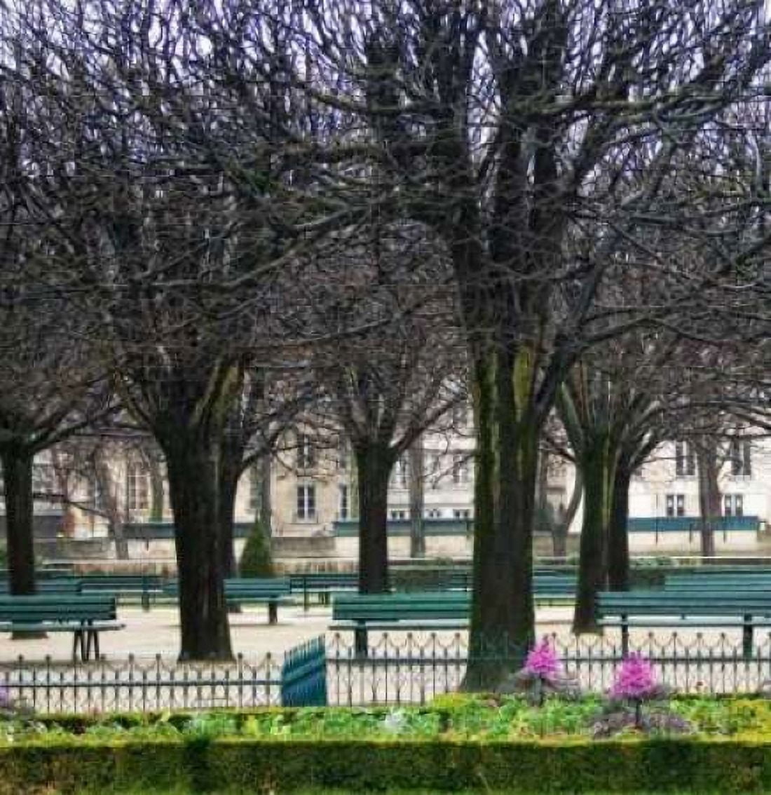 Jardin de Notre Dame I Canvas Art - Rita Crane (24 x 24)
