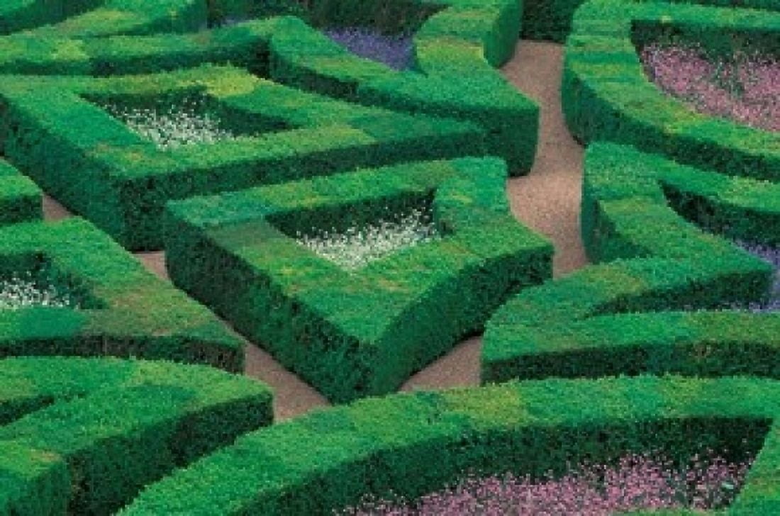 Jardins et Chateau Villandry Indre-et-Loire France Canvas Art - Walter Bibikow DanitaDelimont (36 x 24)