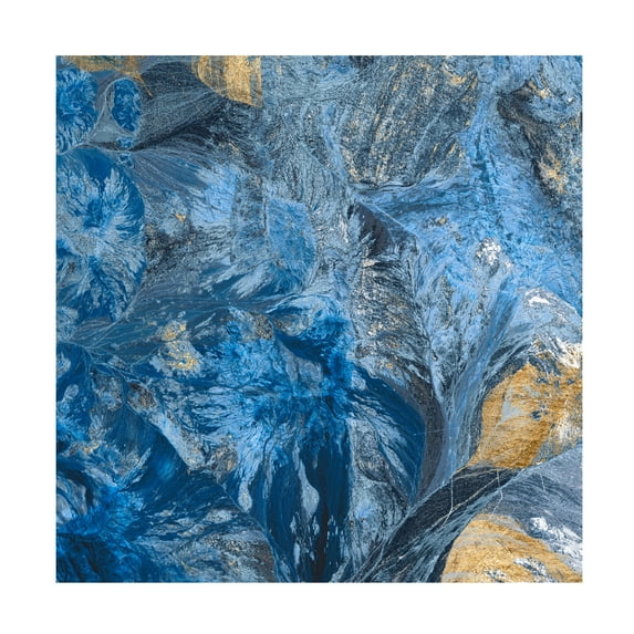Jarman Fagalde 'Gilded Indigo III' Canvas Art