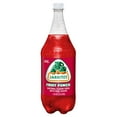 thumbnail image 1 of Jarritos Fruit Punch Soda, 1.5 Liter Bottle (Pack of 4), 1 of 2