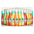 Jarritos Mexican Soda Variety Pack 12/12.5 fl. oz. Glass Bottle Case