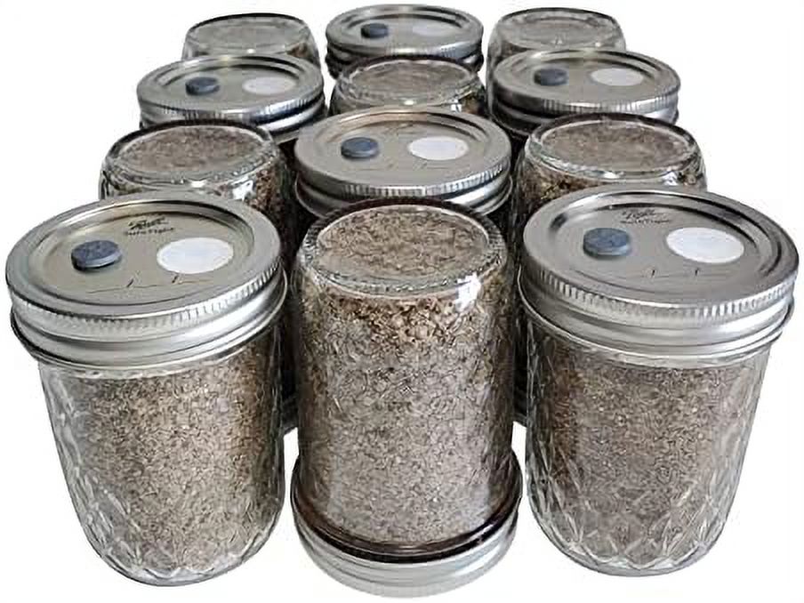 Jars Brown Rice Flour Mushroom Substrate ½ Pint (12 Pack) Properly