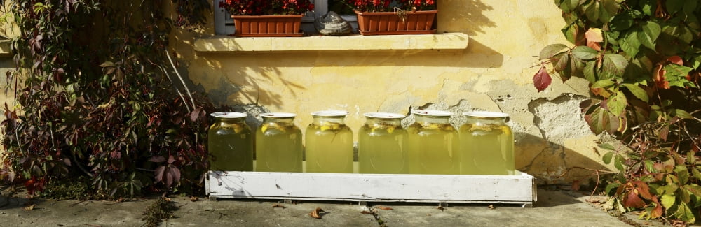 Jars at Palace Brukenthal Avrig Sibiu County Romania Canvas Art - Panoramic Images (27 x 9)