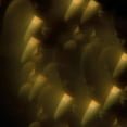 thumbnail image 1 of Jarvis Cocker - Music From Likely Stories - Vinyl, 1 of 1