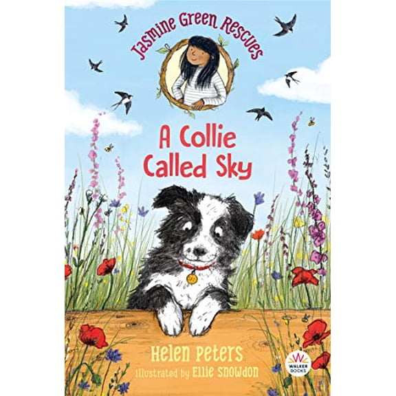 Pre-Owned Jasmine Green Rescues: A Collie Called Sky (Paperback) 1536215716 9781536215717