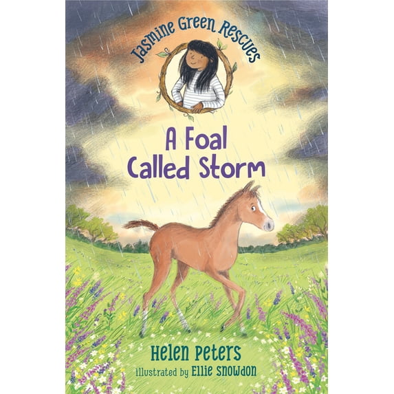 Pre-Owned Jasmine Green Rescues: A Foal Called Storm (Hardcover) 1536222712 9781536222715