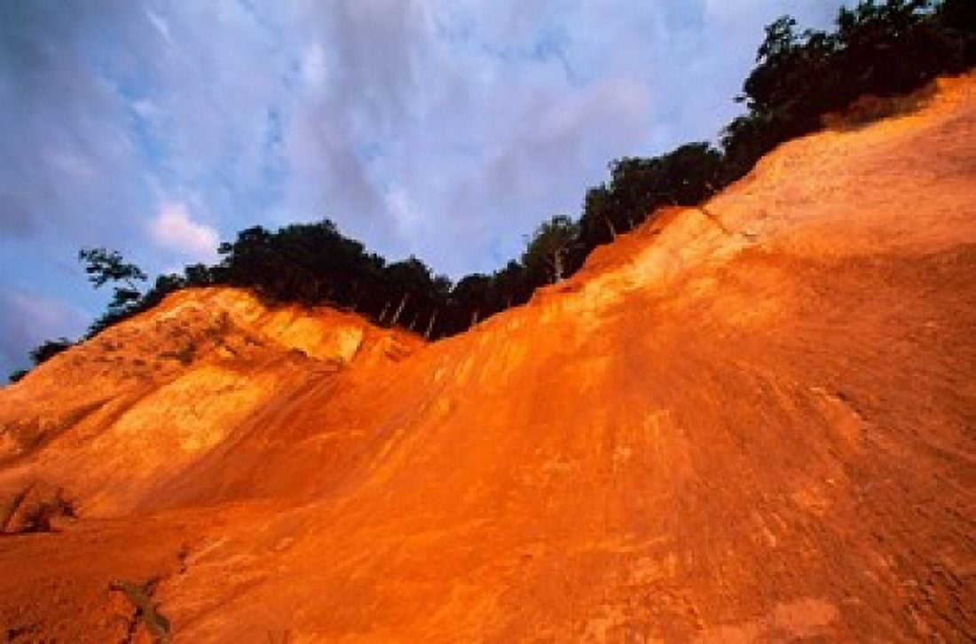 Jasmund National Park Island of Ruegen Germany Canvas Art - Christian Ziegler DanitaDelimont (26 x 17)