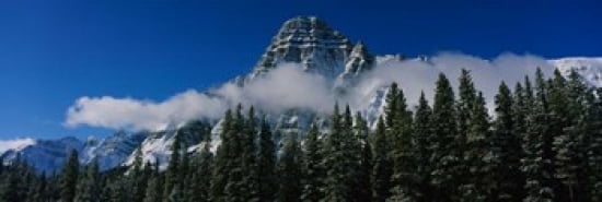 Jasper National Park Canadian Rockies Canvas Art - Panoramic Images (36 x 12)