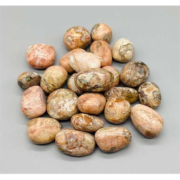 Jasper Picasso Tumbled Stones - Multicolor - 1 lb - Earth Connection Stone