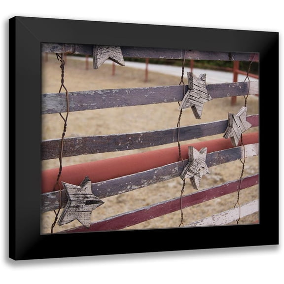 Jasper, Sisa 14x12 Black Modern Framed Museum Art Print Titled - Stars And Stripes