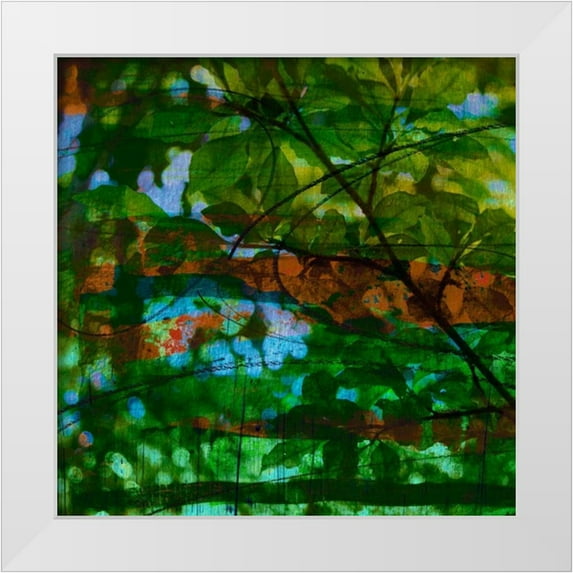 Jasper, Sisa 26x26 White Modern Wood Framed Museum Art Print Titled - Abstract Leaf Study IV