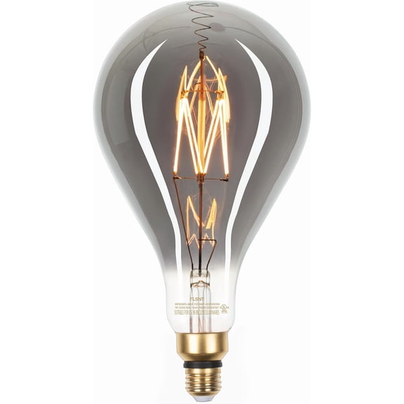 Jaspertronics LED Large Decorative Pendant Bulb 25W Eqv Dimmable Oversized Smoke Glass 1800K Warm White 7W 200LM E26 Base PS160/PS52 1 Unit per pack