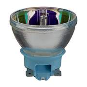 HID Light Bulbs in Light Bulbs - Walmart.com