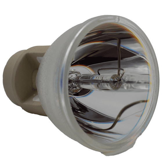 Jaspertronics OEM 69812 Bulb for Various Projectors - 1 Unit per pack