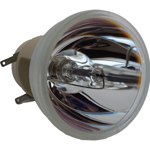 Jaspertronics OEM EX521 Bulb for Optoma Projectors - 1 Unit per pack