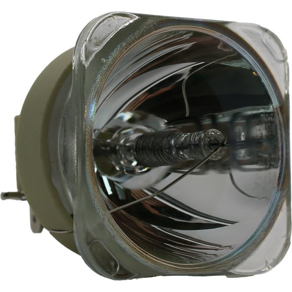 Jaspertronics OEM Lamp (Bulb Only) for The Optoma EH500 Projector Powered by Philips - 240 Day Warranty - 1 Unit per pack