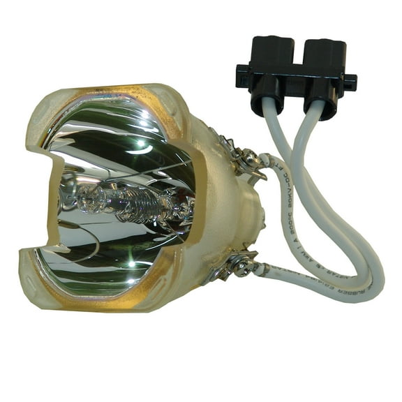 Jaspertronics OEM P8384-1021 Bulb for Eiki Projectors - 1 Unit per pack