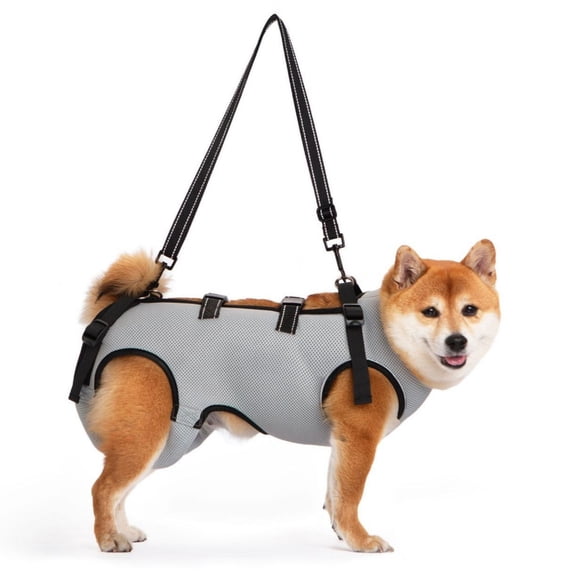 Jaucin Dog support sling harness - adjustable lift up aid for dogs with arthritis or mobility issues, help em up harness for dogs, comfortable and breathable design