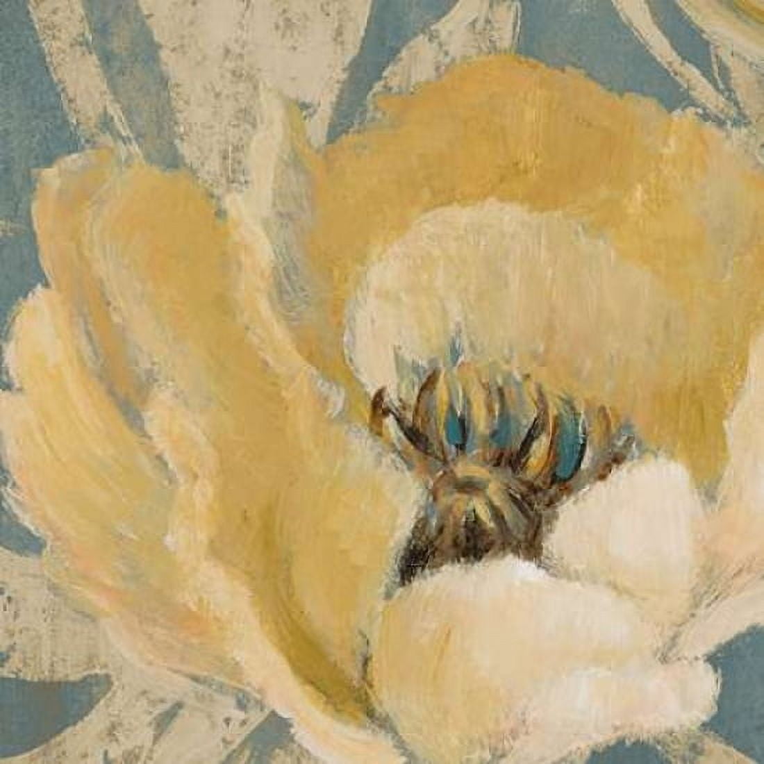 Jaune Poppy Canvas Art - Lanie Loreth (24 x 24)