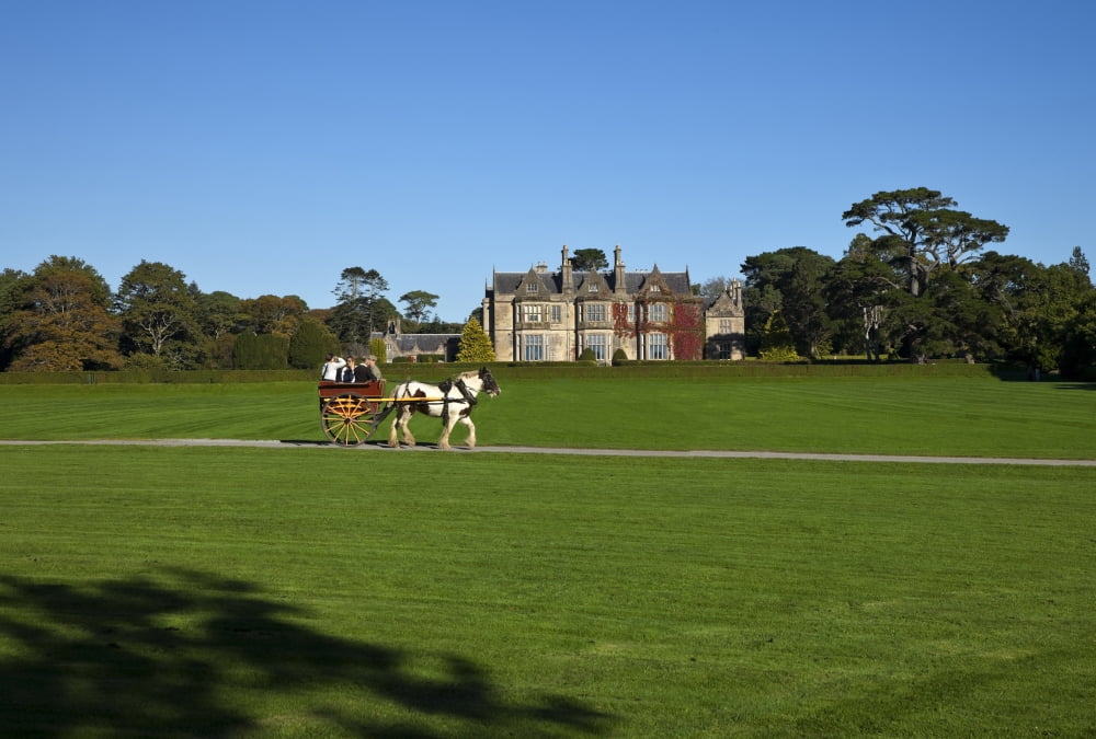 Jaunting Car at Muckross House built in 1843 Now the Kerry Folklife Centre Killarney National Park County Kerry Ireland Canvas Art - Panoramic Images (24 x 18)
