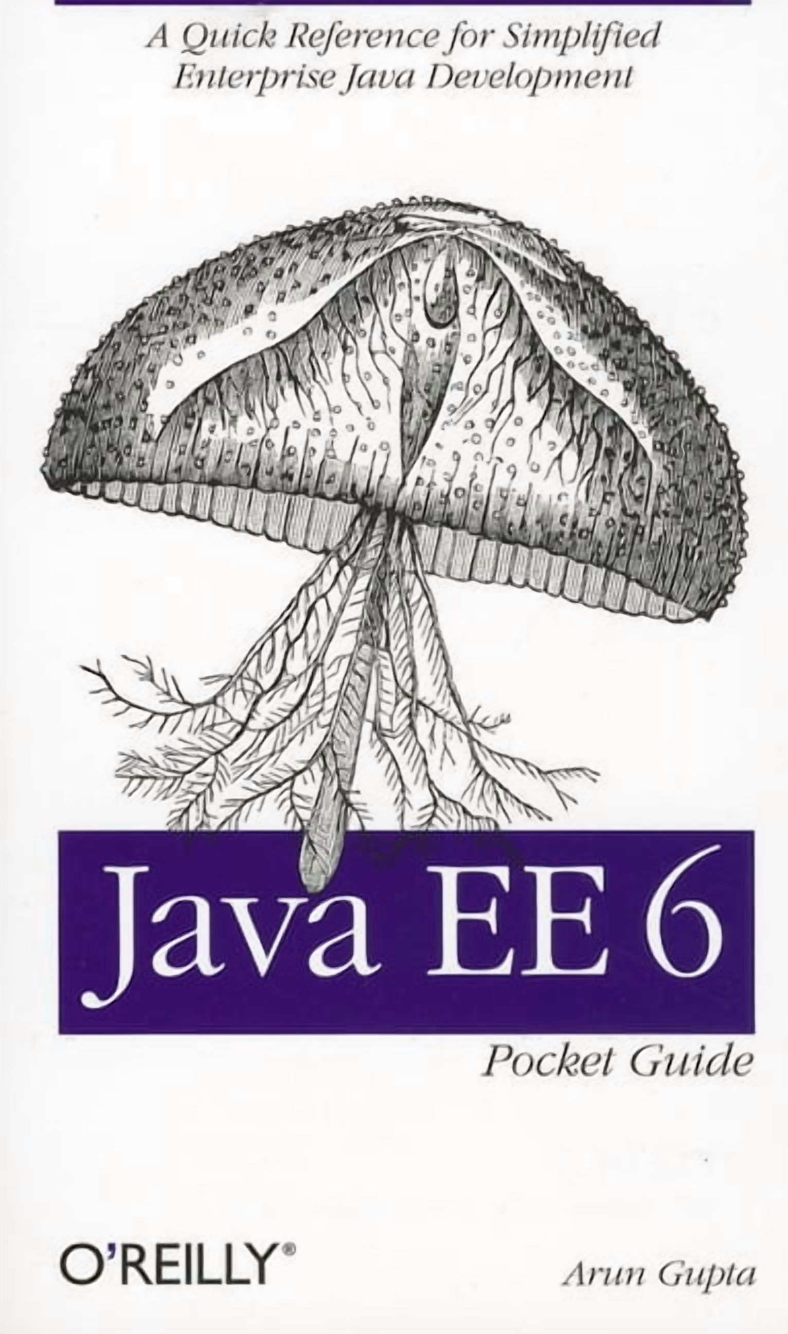Java Ee 6 Pocket Guide: A Quick Reference for Simplified Enterprise ...