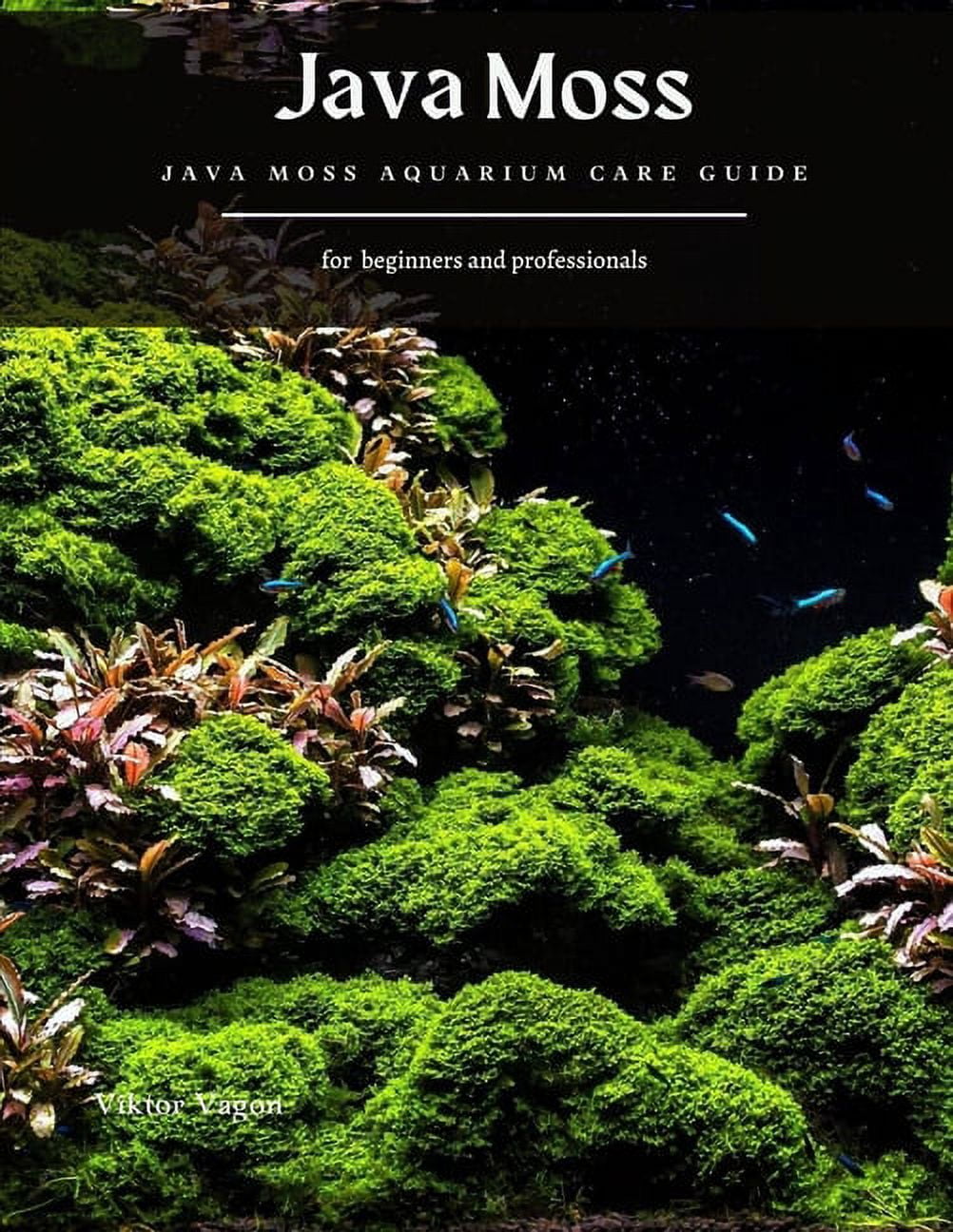 The Complete Care Guide to Java Moss