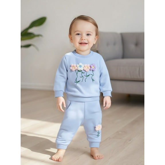 Jaweiwi Toddler Baby Girl Fall Outfits with 3D Flower 6 12 18 24 Months 2T 3T 4T Long Sleeve Round Neck Pullover Elastic Waist Long Pants 2 Pcs Clothes Set