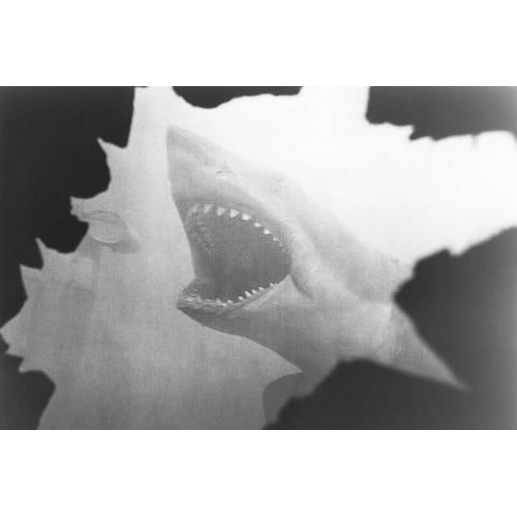 Jaws 24x36 Poster shark jaws open