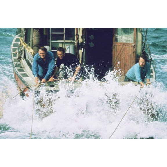 Jaws Cast Color 24X36 Poster