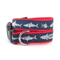 thumbnail image 1 of Jaws Collar, 1 of 1