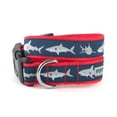 thumbnail image 1 of Jaws Collar, 1 of 2