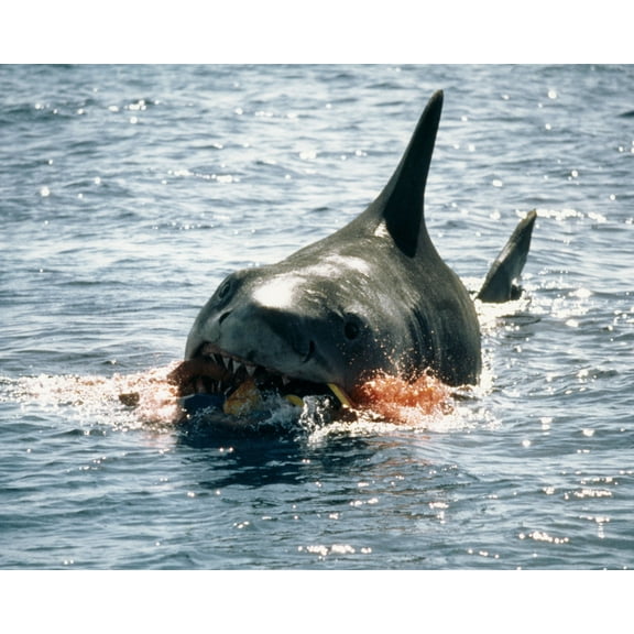 Jaws Shark At Sea Eating Life Raft 24X36 Classic Hollywood Poster