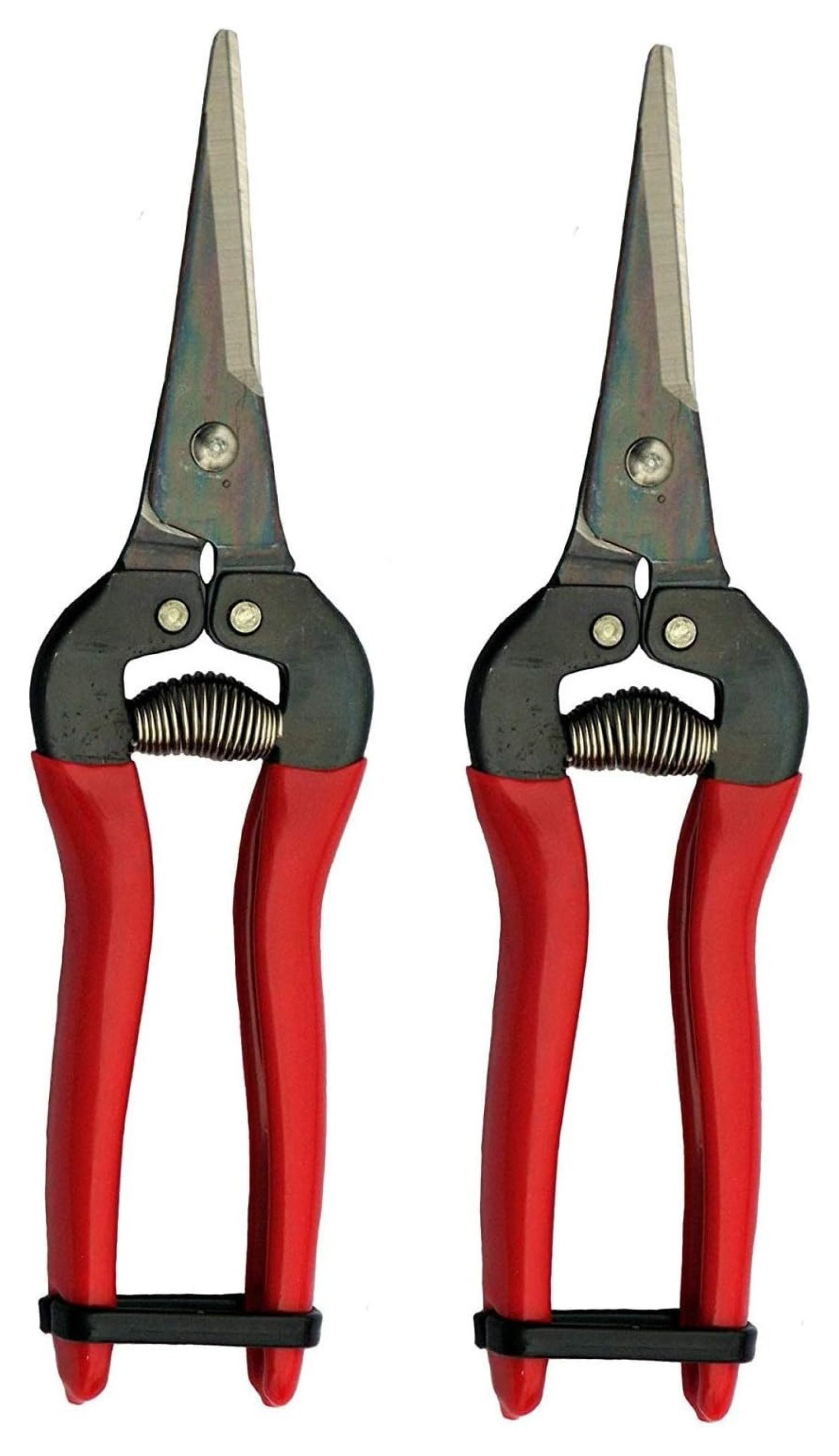 Jaxnfuro 300L Needle Nose Fruit Pruners (2 Pack)